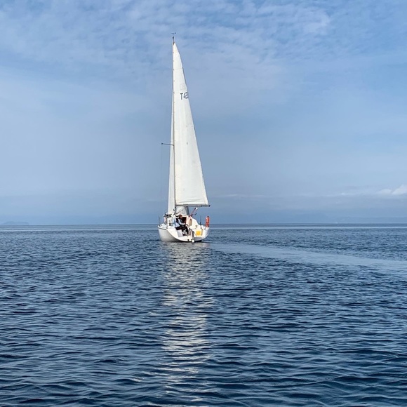 🌴Meet your Posher, Mimi🌴 - Picture 7 of 8